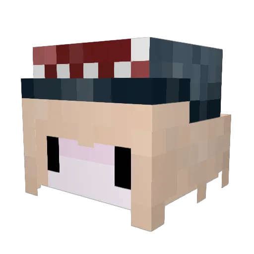 HaikuOS Minecraft avatar head, 3D render