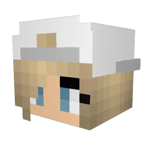 HailDog1012 Minecraft avatar head, 3D render