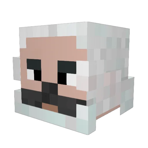HailHamu Minecraft avatar head, 3D render