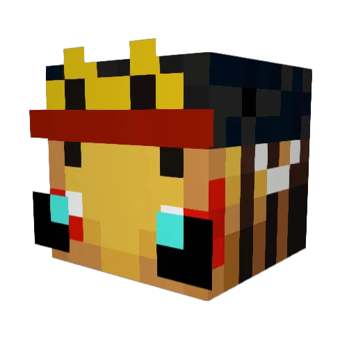 HailStorm125 Minecraft avatar head, 3D render