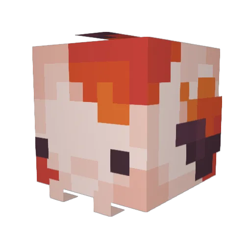 Hail_Lord_Nugget Minecraft avatar head, 3D render