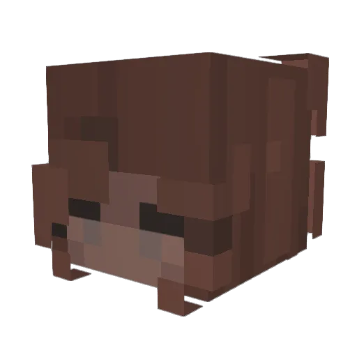 Haile_The_Person Minecraft avatar head, 3D render