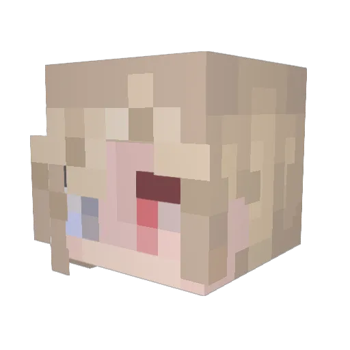 HailedCarrot375 Minecraft avatar head, 3D render