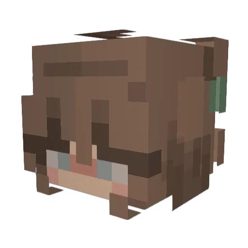 Hailey2913 Minecraft avatar head, 3D render