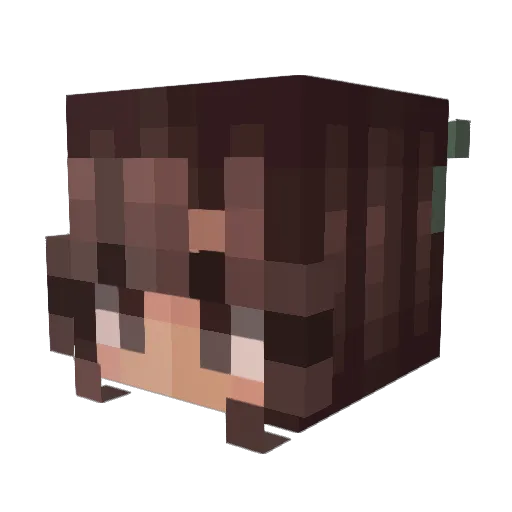 HaileyBeanz1 Minecraft avatar head, 3D render