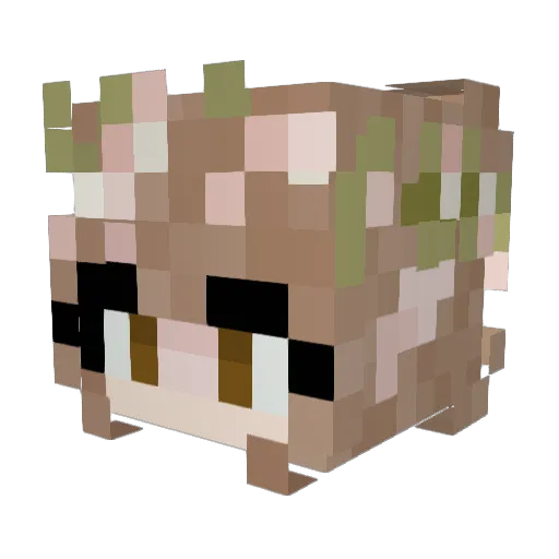 HaileyW2 Minecraft avatar head, 3D render