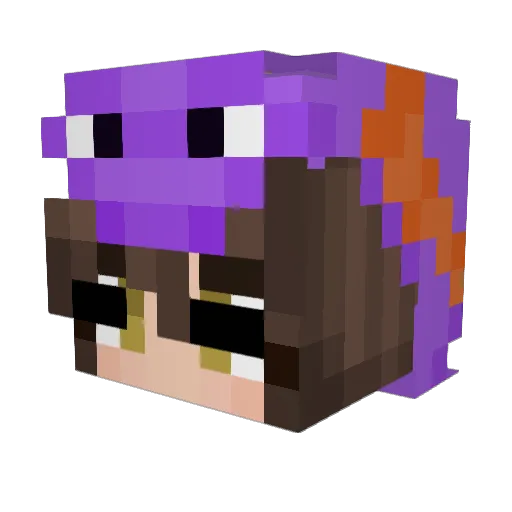 Hailey_DUR Minecraft avatar head, 3D render