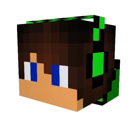 HaileyandJacob Minecraft avatar head, 3D render