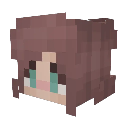 Haileydg Minecraft avatar head, 3D render