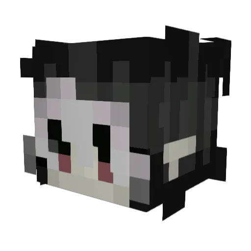 Haileyy468 Minecraft avatar head, 3D render
