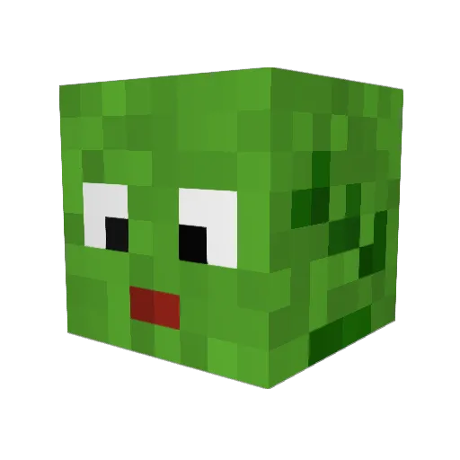 HailieR06 Minecraft avatar head, 3D render