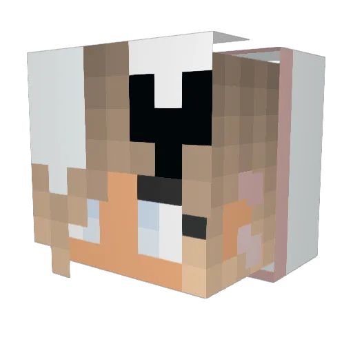 Hails18 Minecraft avatar head, 3D render