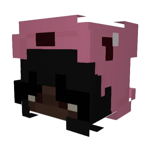 Hailseqq Minecraft avatar head, 3D render