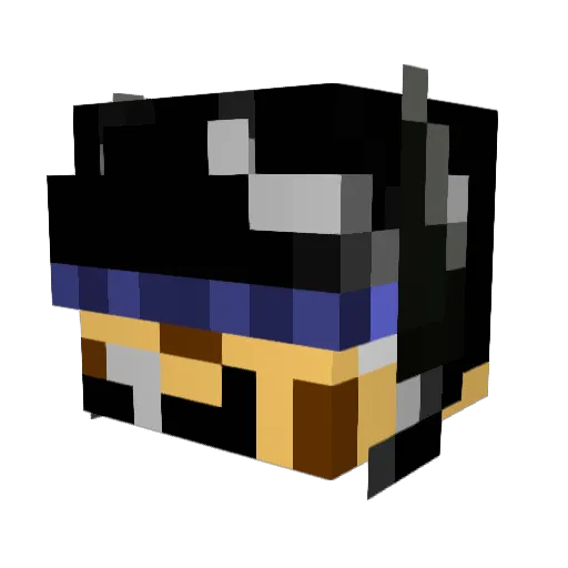 Hailstorm_32 Minecraft avatar head, 3D render