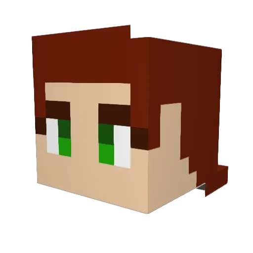 Hailstorm_Roe Minecraft avatar head, 3D render