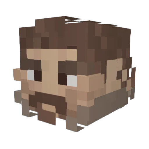 HailtheFifth Minecraft avatar head, 3D render