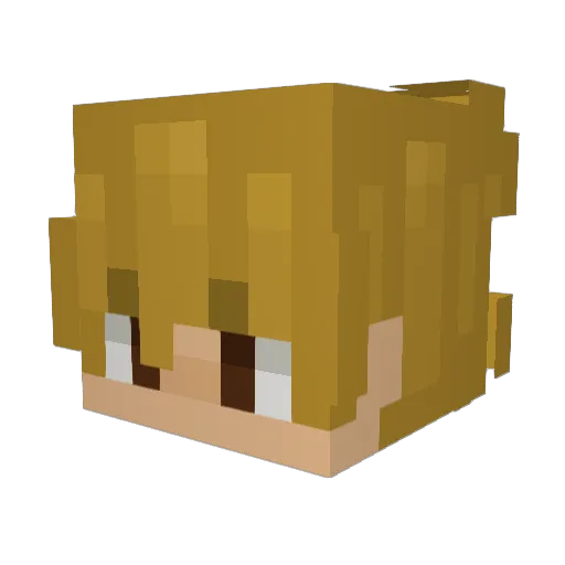 Haimi24 Minecraft avatar head, 3D render