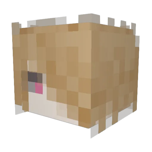 Hainyan_ Minecraft avatar head, 3D render