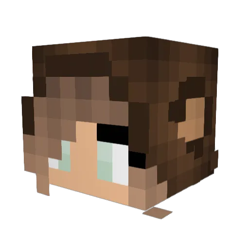 HairedMonkey Minecraft avatar head, 3D render