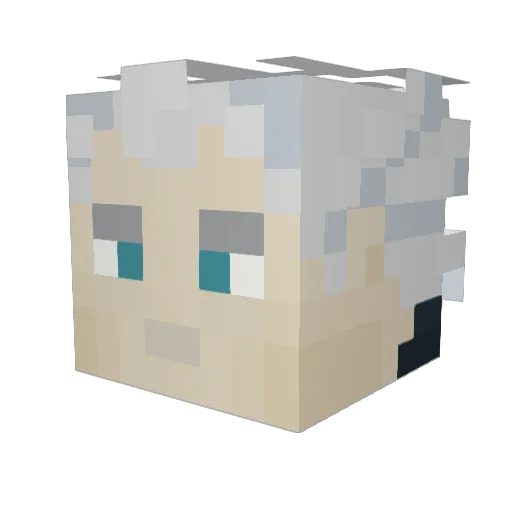 Hairless_Monkey Minecraft avatar head, 3D render