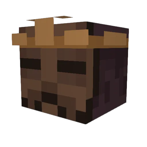 HairyAvocado Minecraft avatar head, 3D render