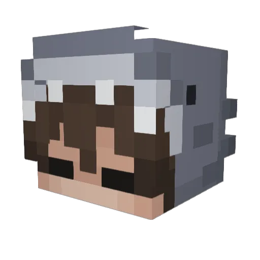 HairyCarrot42 Minecraft avatar head, 3D render