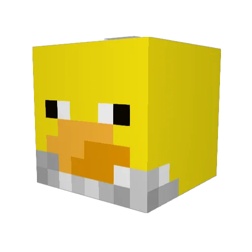 HairyDuck Minecraft avatar head, 3D render