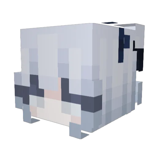 HairyJewishSack Minecraft avatar head, 3D render