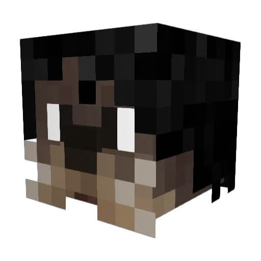 HairyPotter Minecraft avatar head, 3D render