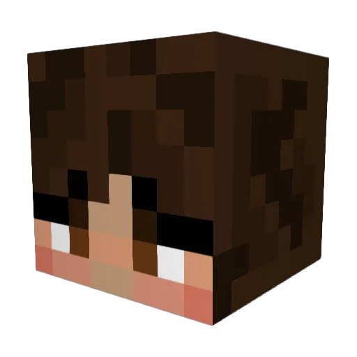 HairySlothers Minecraft avatar head, 3D render