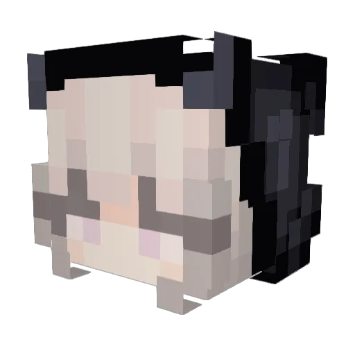 Hairy__StyIes Minecraft avatar head, 3D render