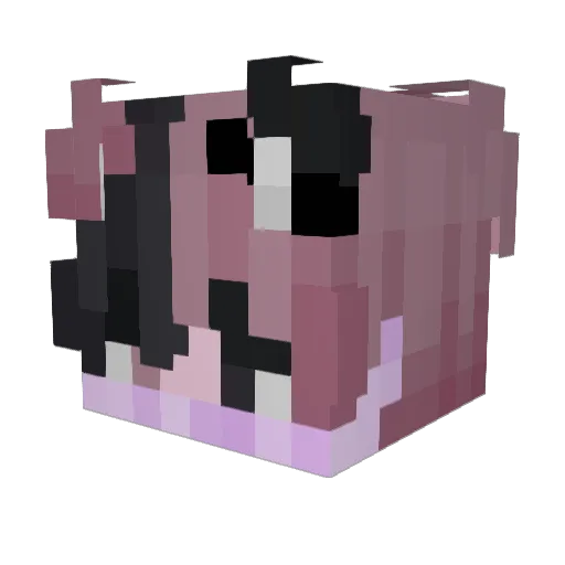 Hairyankle Minecraft avatar head, 3D render