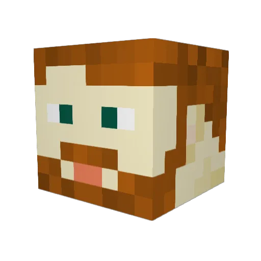 Hairyspleen Minecraft avatar head, 3D render