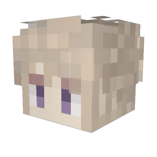 Haise2 Minecraft avatar head, 3D render