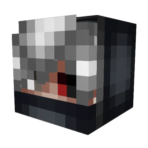 HaiseMaker Minecraft avatar head, 3D render