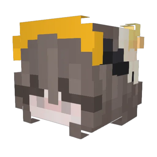 Haiya Minecraft avatar head, 3D render
