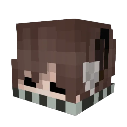 Haizenn_ Minecraft avatar head, 3D render