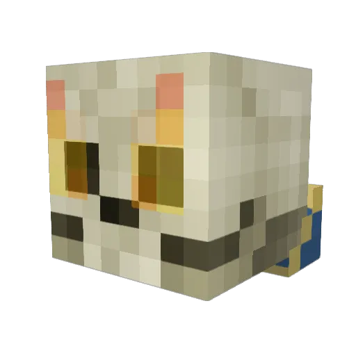 Hajayme Minecraft avatar head, 3D render