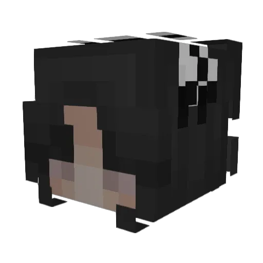 Hajdejka Minecraft avatar head, 3D render