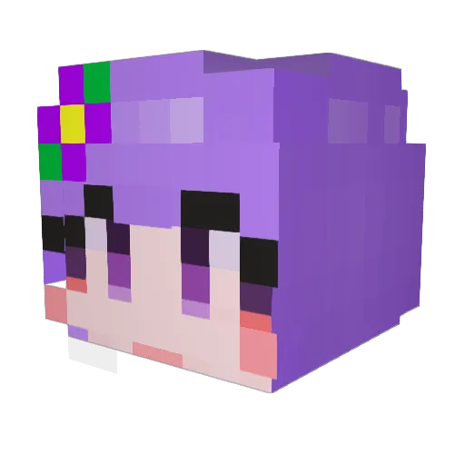 Hajin_S2 Minecraft avatar head, 3D render