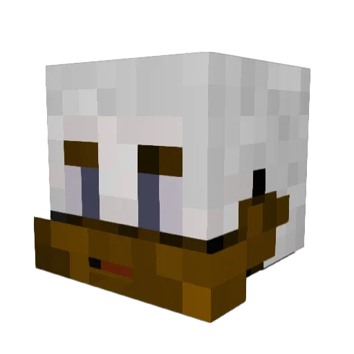 HakZOfficial Minecraft avatar head, 3D render