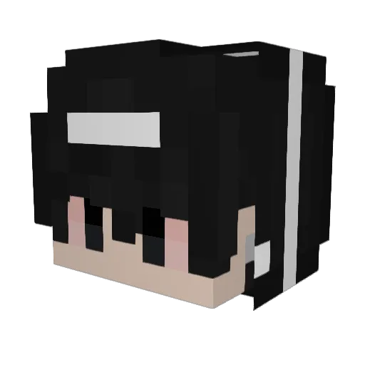 Hakai_____ Minecraft avatar head, 3D render