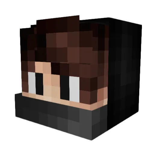 Hakame_ Minecraft avatar head, 3D render