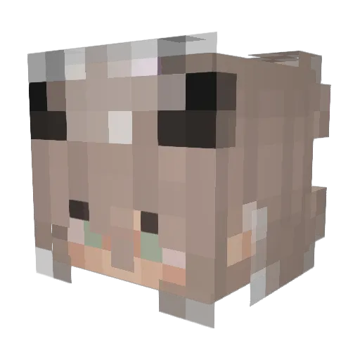 HakazuU Minecraft avatar head, 3D render