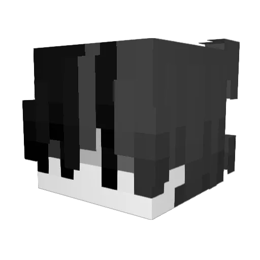 HakerBrayan Minecraft avatar head, 3D render