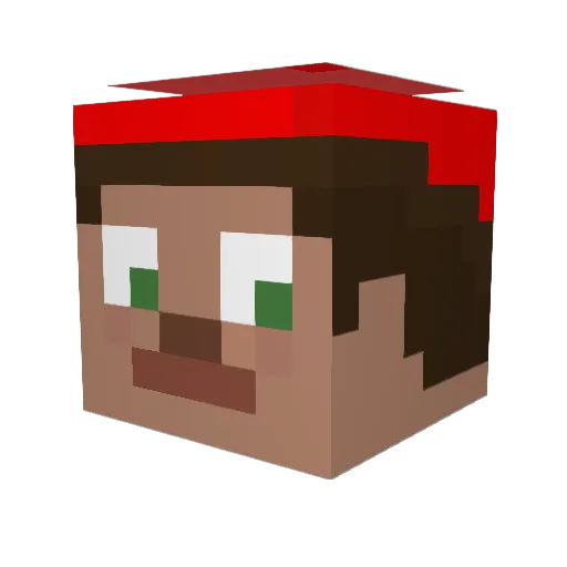 Hakkapeliitta22 Minecraft avatar head, 3D render
