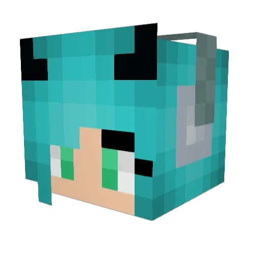 Hakkeflummy Minecraft avatar head, 3D render