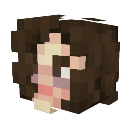 Hakkors Minecraft avatar head, 3D render