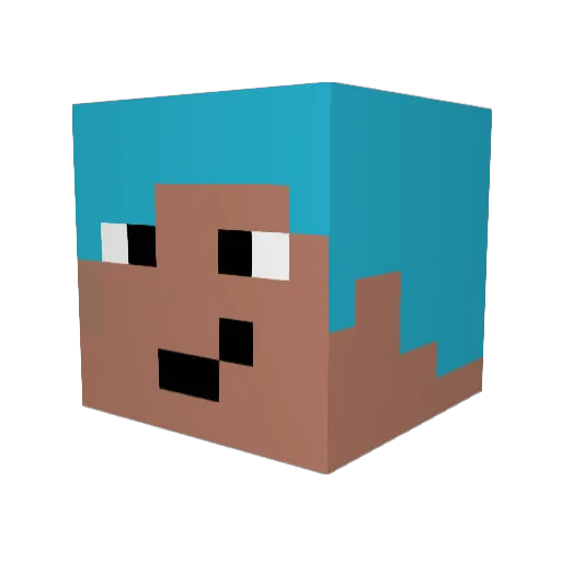 Hakoda_ Minecraft avatar head, 3D render