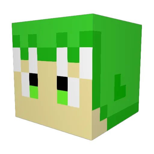 Haku315 Minecraft avatar head, 3D render